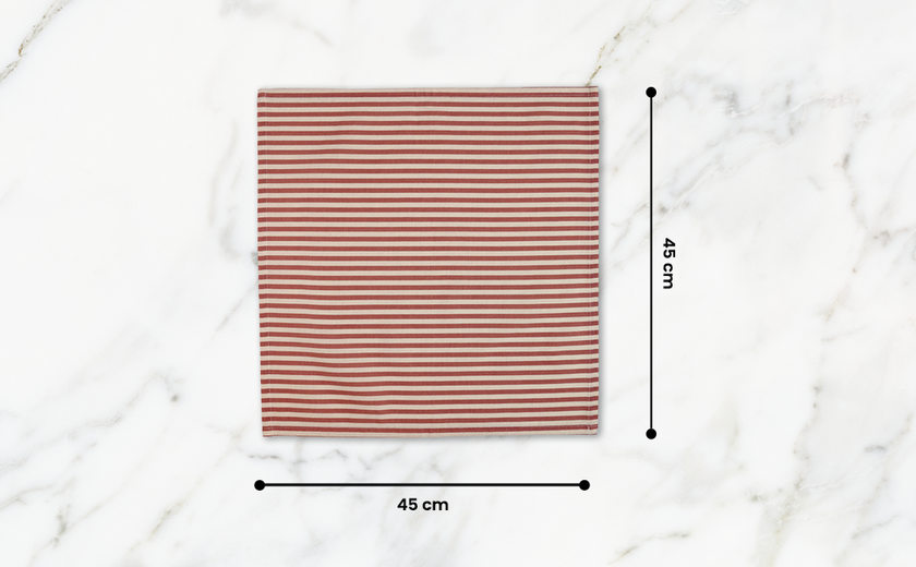 Striped 100% Cotton Set of 4 Reusable Cloth Napkins | Beautiful Rose