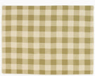 Checked 100% Cotton Set of 2 Reusable Placemats | Lively Green