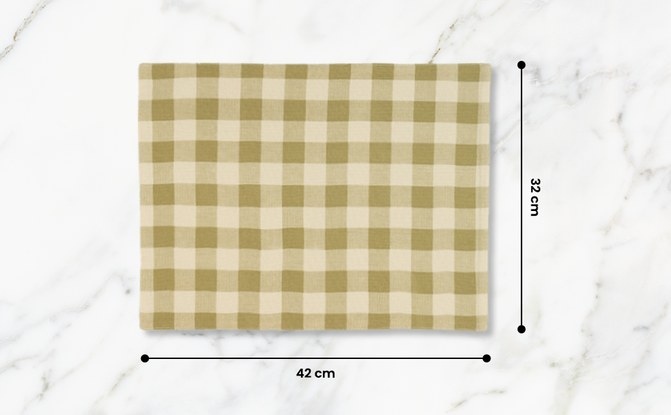 Checked 100% Cotton Set of 2 Reusable Placemats | Lively Green