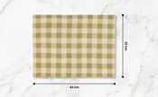Checked 100% Cotton Set of 2 Reusable Placemats | Lively Green