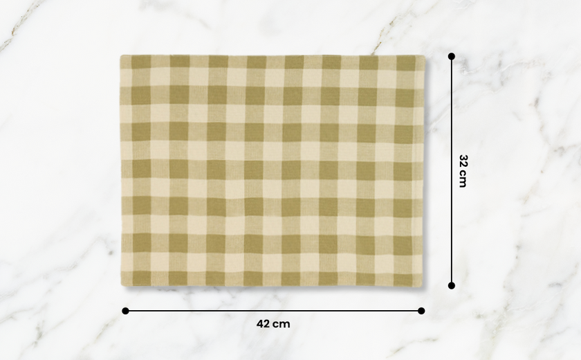 Checked 100% Cotton Set of 2 Reusable Placemats | Lively Green