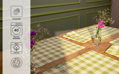 Checked 100% Cotton Set of 2 Reusable Placemats | Lively Green